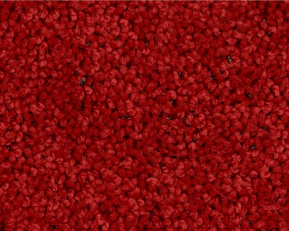 BRICEVILLE CLASSIC 17 15 38REAL RED 1ST SHAW INDUSTRIES, INC CARPET 
