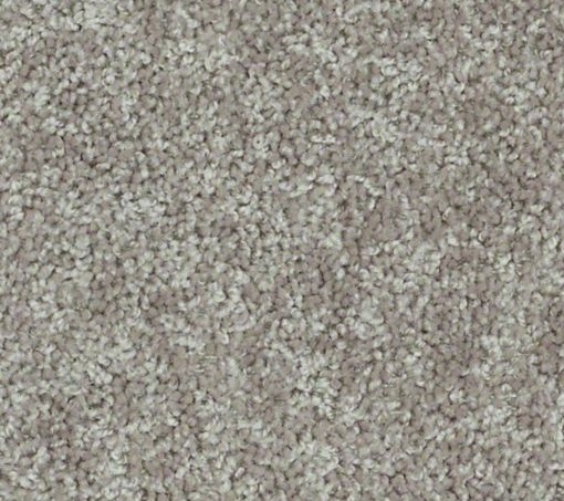 DAZZLING (S) 15 25DUSTED SILVER 1ST SHAW INDUSTRIES, INC CARPET 