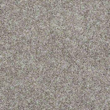 FANTASTIC (S) 25 25DUSTED SILVER 1ST SHAW INDUSTRIES, INC CARPET 