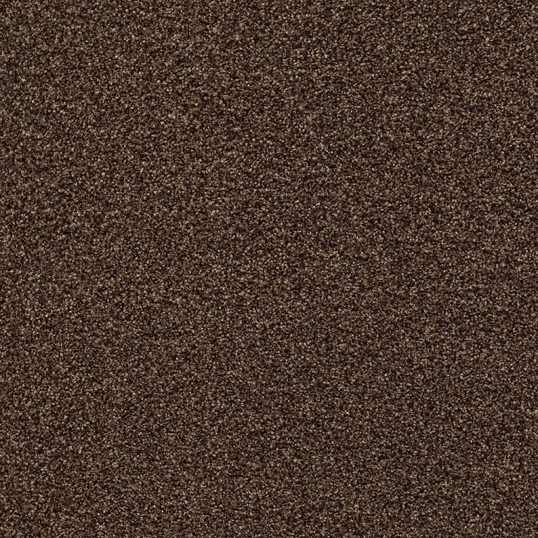 FIND YOUR COMFORT II (T) 53 17CHOCOLATE TREAT 2NDS SHAW INDUSTRIES, INC