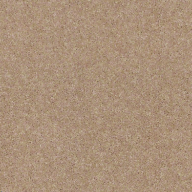 LIFES IMPRESSION W/WATER PROOF BACKING 25 27FAWN 1ST SHAW INDUSTRIES, INC CARPET 