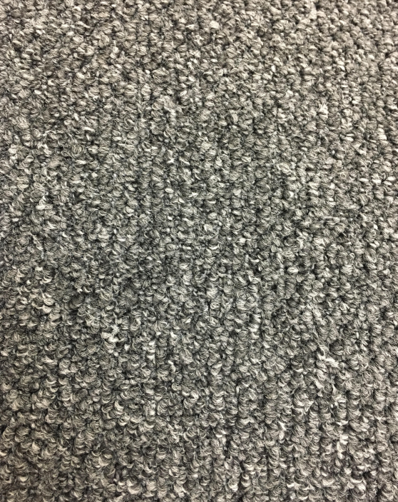 NEW MEXICO 26 55AGATE GREY 1ST SHAW INDUSTRIES, INC CARPET 