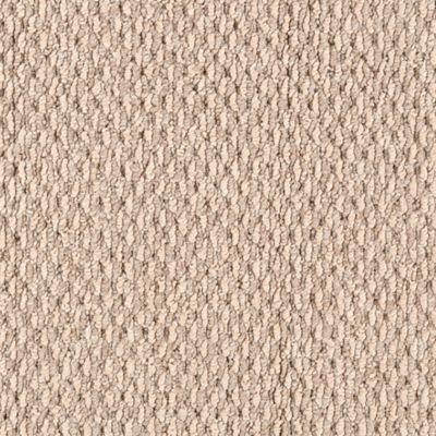 SIMPLY AWESOME III 12 24 76BRASSINE 1ST MOHAWK CARPET 